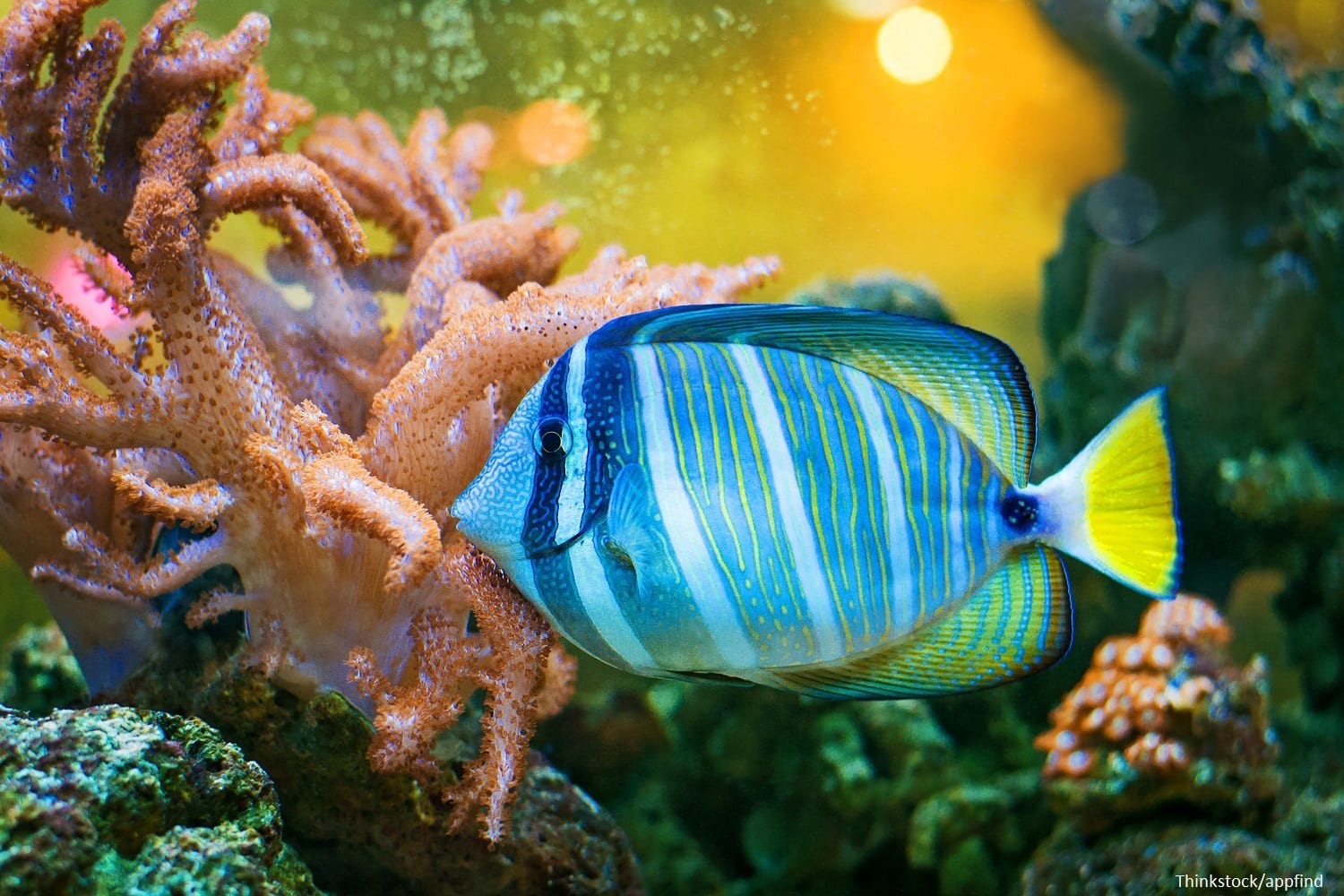maine aquarium in boothbay