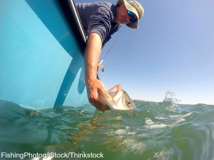 Some of the Best Deep Sea Fishing in Boothbay Harbor, Maine Newagen Seaside Inn