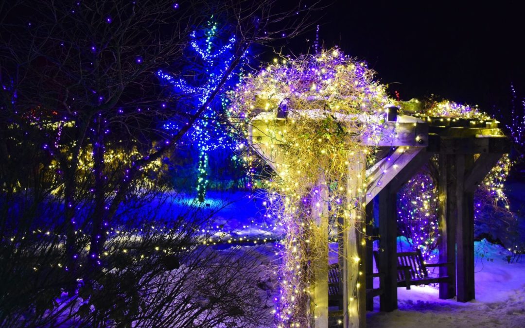Here Are 3 Amazing Facts About Gardens Aglow in Boothbay Harbor