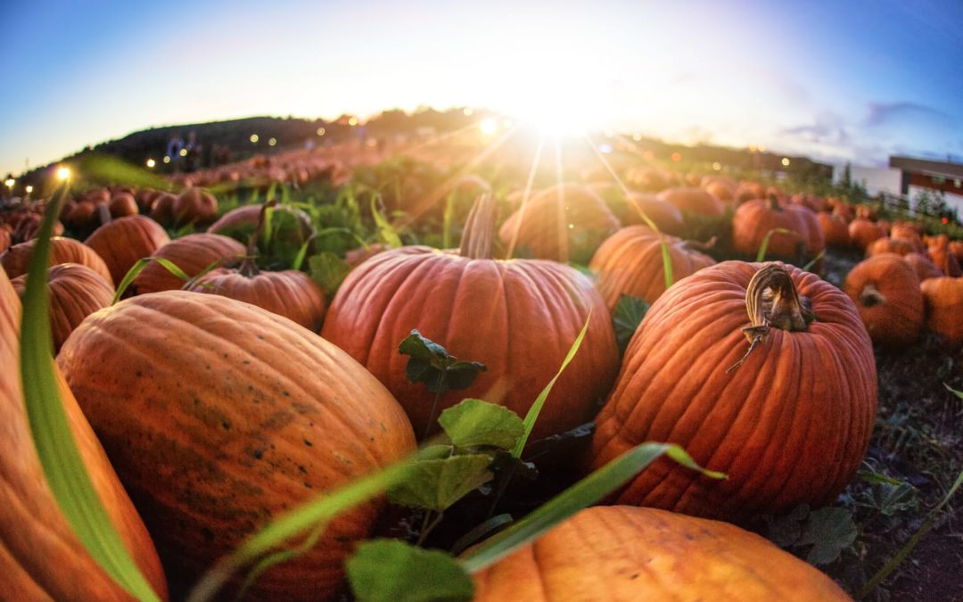 3 of the Best Things to Do in Maine in October