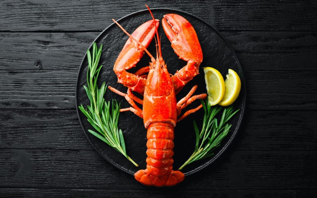 Maine Lobster: Follow the Process from Trap to Plate