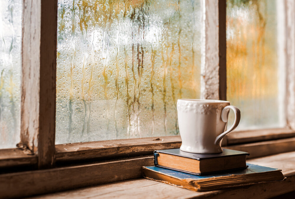 Discover Rainy Day Activities in Boothbay Harbor