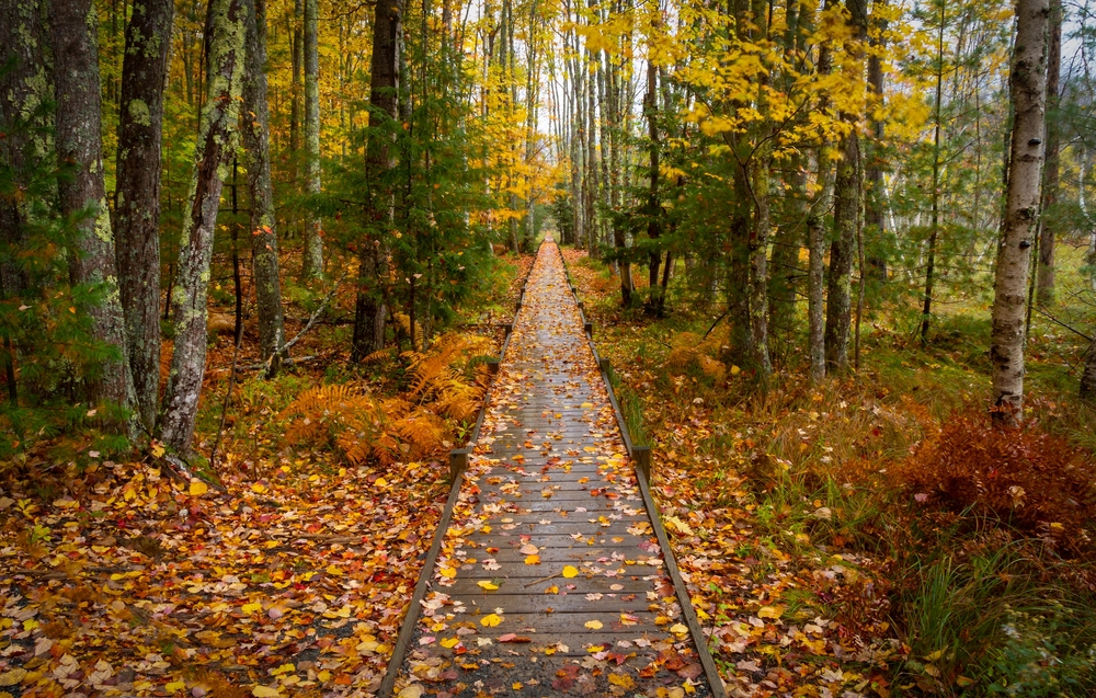 5 Ways to See the Fall Colors in Boothbay Harbor, Maine
